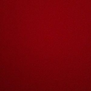 Meet your Posher, Bailee